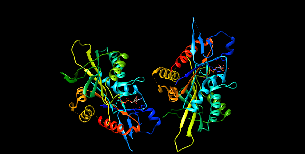 Ảnh minh hoạ kiểu gene KIF1A