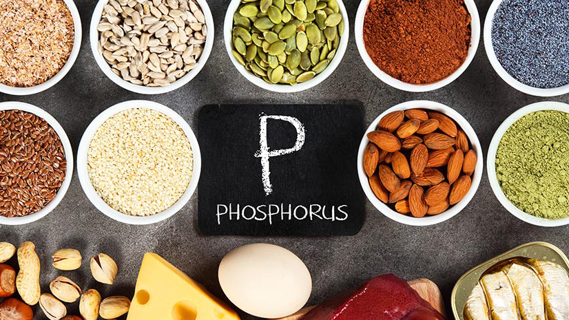 Phospho có vai trò là cầu nối giúp cơ thể hấp thu và vận chuyển calci vào xương