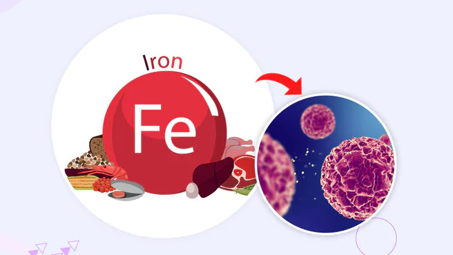 Tình trạng thừa sắt có thể kích thích tăng sinh tế bào bất thường