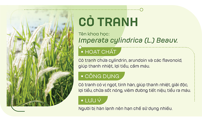 Cỏ tranh thường dùng sắc nước uống hoặc nấu chung với các loại thảo dược khác