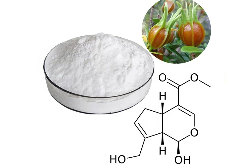 Nghiên cứu trong phòng thí nghiệm cho thấy genipin trong dành dành giúp khôi phục sự phát triển bình thường của tế bào thần kinh cảm giác