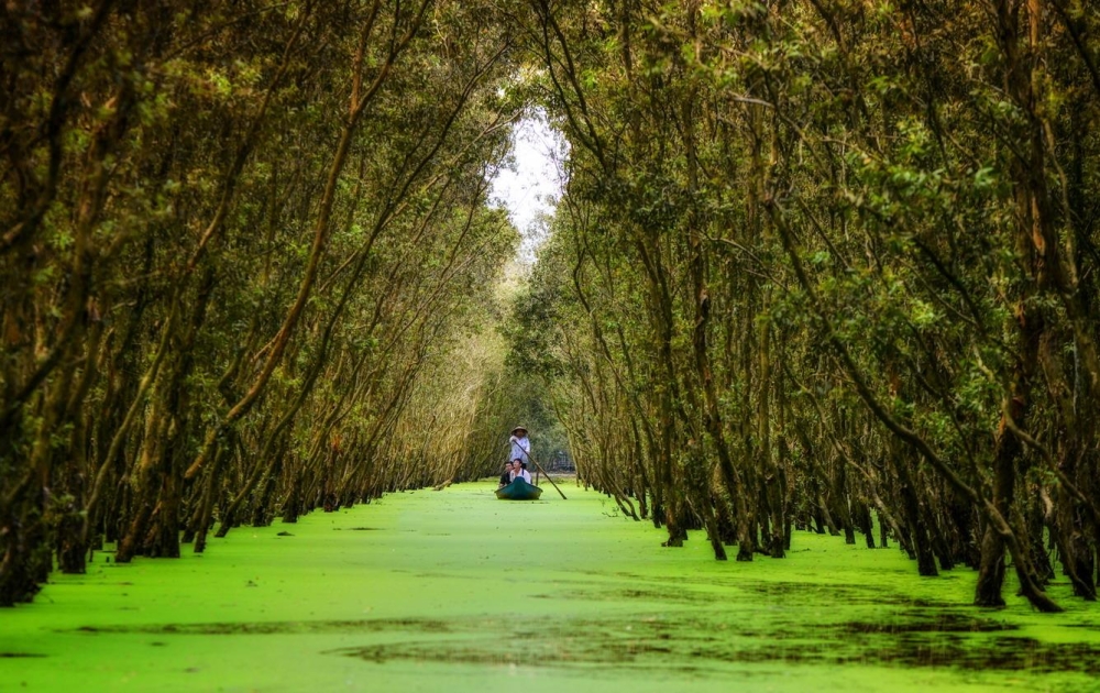 Rừng tràm Trà Sư, An Giang - Ảnh: Tạp chí Du lịch.