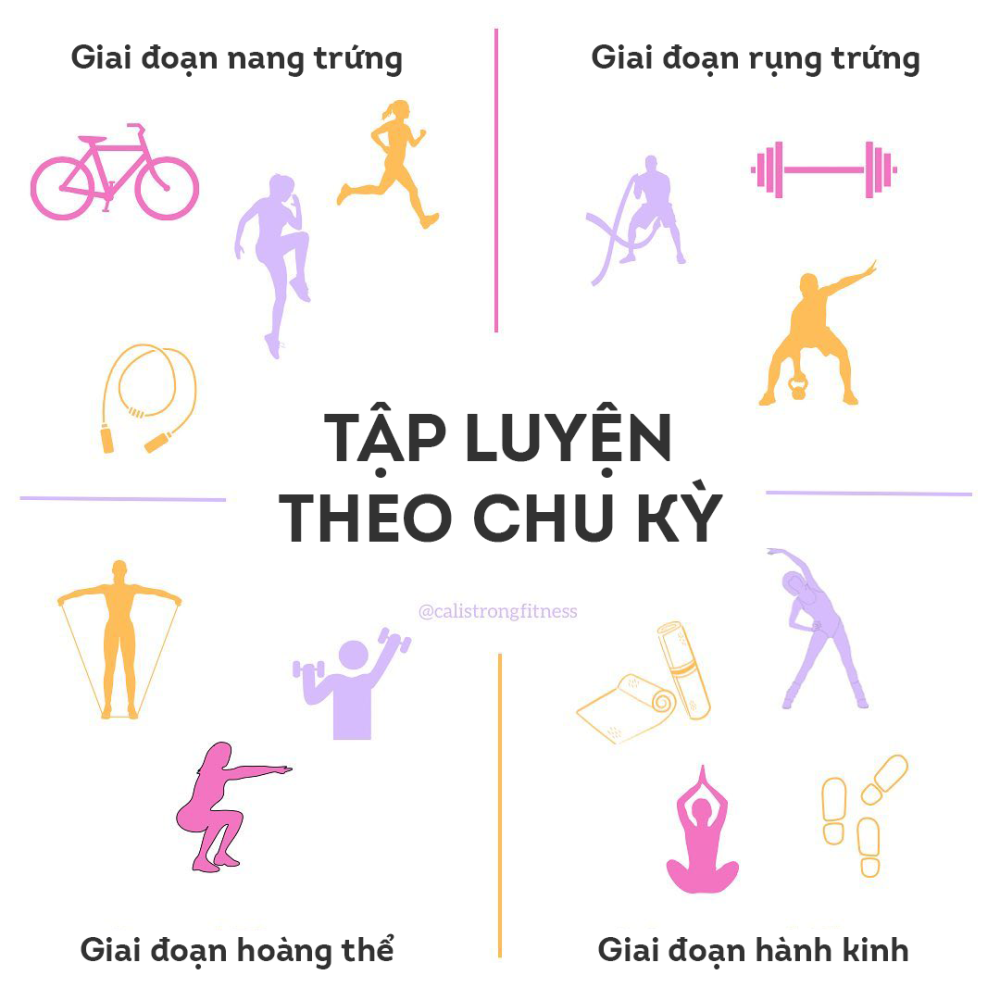 Theo dõi chu kỳ kinh nguyệt làm căn cứ xây dựng kế hoạch tập luyện phù hợp