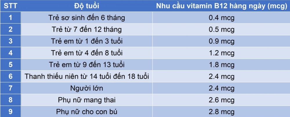 Nhu cầu vitamin B12 được khuyến nghị cho người Việt - Theo Viện Dinh dưỡng Quốc gia.