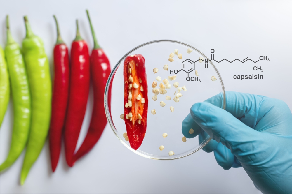 Capsaicin trong quả ớt có thể mang lại nhiều lợi ích cho sức khoẻ trục ruột - não.