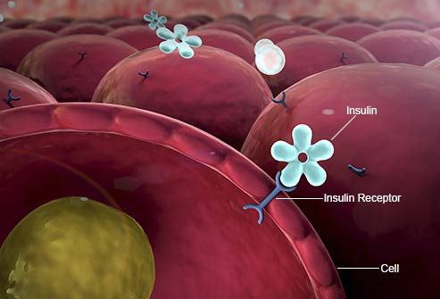 Kháng insulin là tình trạng các tế bào trong cơ thể bị giảm năng đáp ứng với tác dụng của hormone insulin.