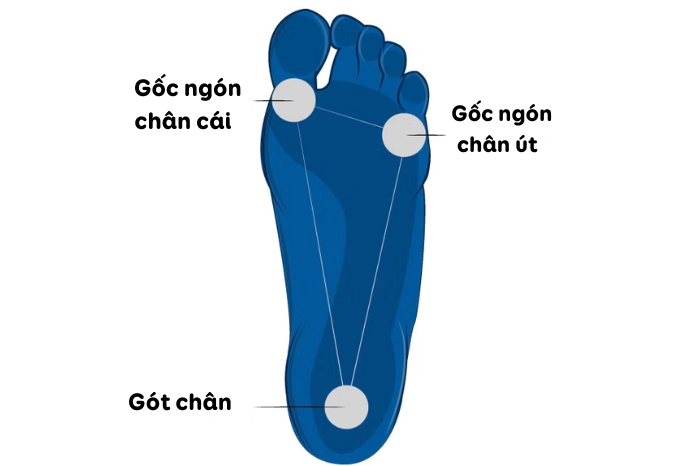 Khi bạn đứng, trọng lượng cơ thể cần được phân bổ đều giữa các điểm trên bàn chân (gót chân, ngón chân cái, và ngón út) để giữ thăng bằng tốt và tránh tạo áp lực không đều, dẫn đến các vấn đề về cơ xương khớp.