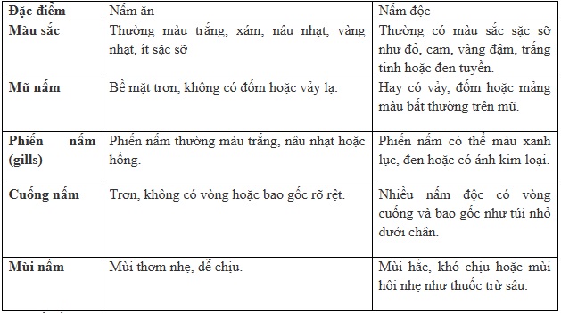 Một số cách phân biệt nấm độc và nấm ăn phổ biến qua quan sát đặc điểm hình thái nấm - Ảnh: Cục ATTP