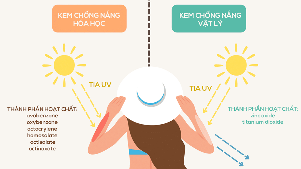 Tùy theo từng sản phẩm, kem chống nắng có thể chứa nhiều thành phần hoạt tính khác nhau giúp bảo vệ da