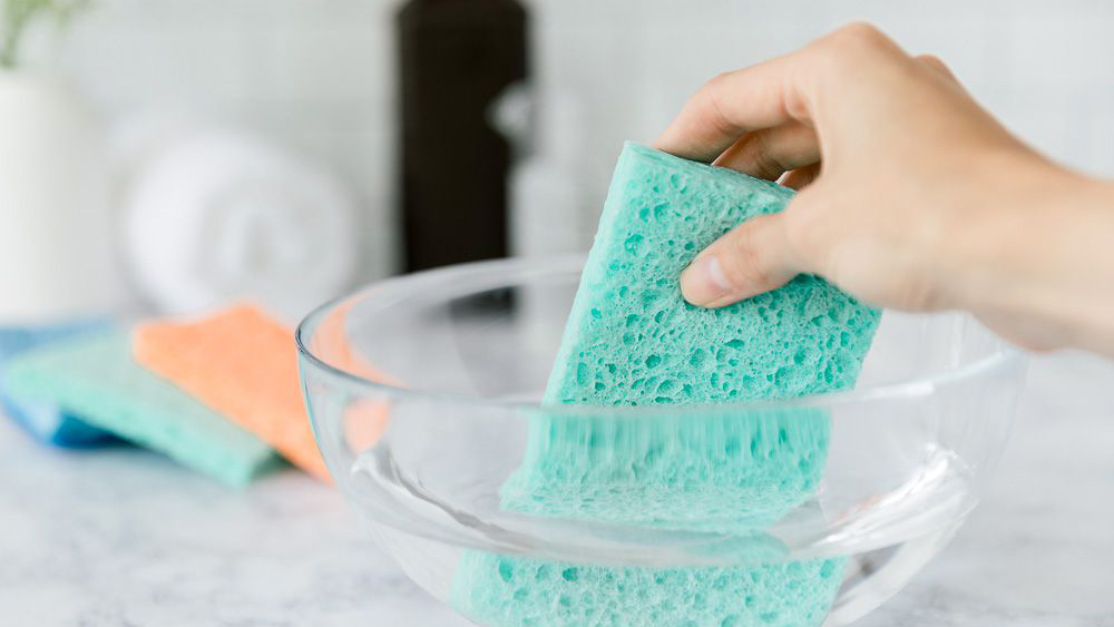 Ngâm miếng bọt biển trong dung dịch thuốc tẩy pha loãng để loại bỏ mầm bệnh