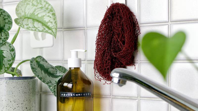 Dụng cụ rửa chén bát ẩm ướt là nơi sinh sôi của vi khuẩn