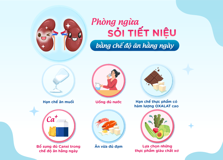 Cách phòng ngừa sỏi Tiết niệu bằng chế độ ăn uống hàng ngày