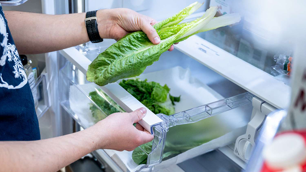 Độ ẩm cao phù hợp với rau ăn lá như xà lách, rau diếp, cải xoăn
