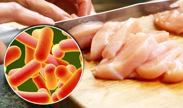 Vi khuẩn Salmonella thường có mặt trong thịt gia cầm, trứng sống hoặc nấu chưa chín