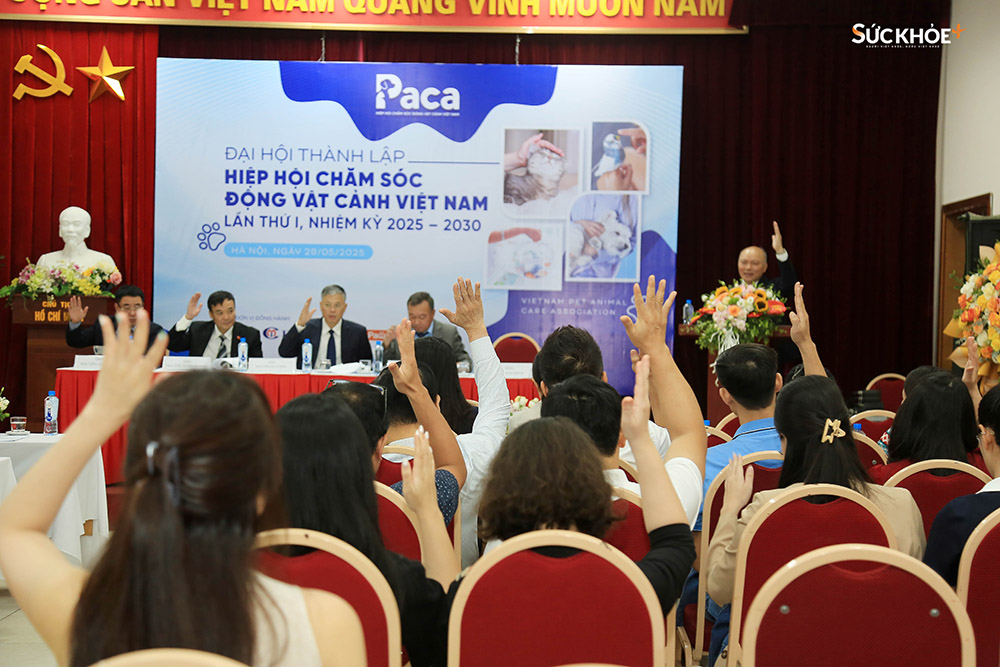 Các đại biểu đạt được sự đồng thuận cao ở phần biểu quyết trong chương trình Đại hội thành lập Hiệp hội Chăm sóc Động vật cảnh Việt Nam lần thứ I