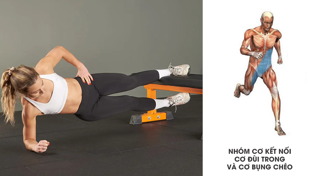 Biến thể Copenhagen plank tác động mạnh mẽ đến cơ đùi lẫn cơ trung tâm