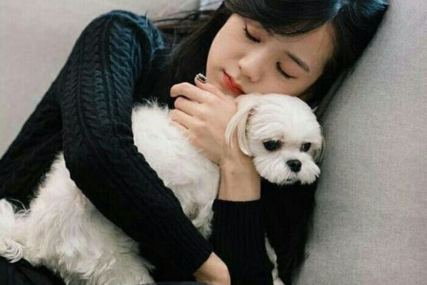 Điểm danh “bạn bốn chân” đình đám của người nổi tiếng - Ảnh 10