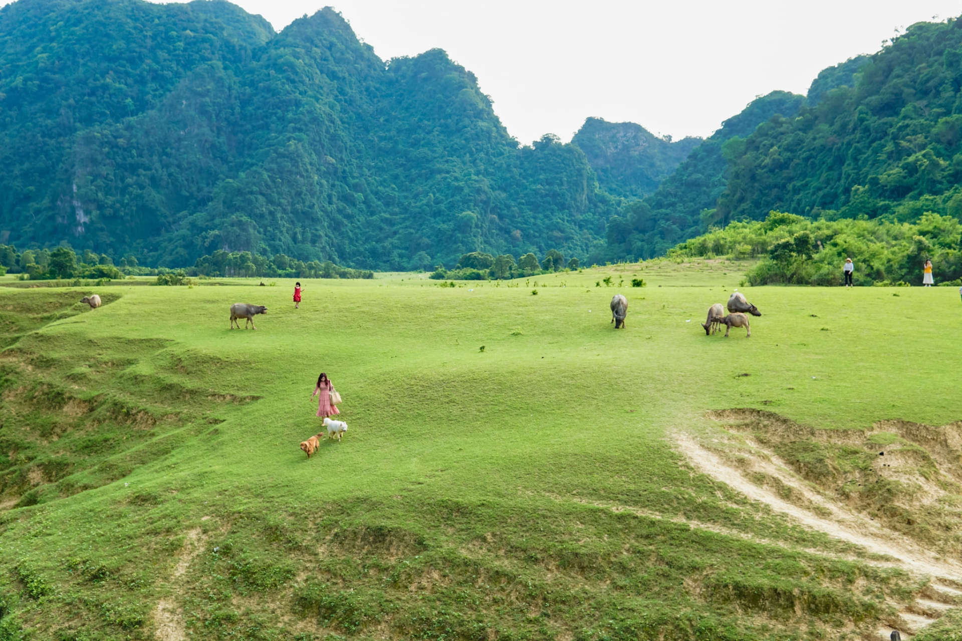 Bạn có thể cắm trại, cưỡi ngựa, dạo bộ trên thảo nguyên Đồng Lâm - Ảnh: FB Hùng Vĩ
