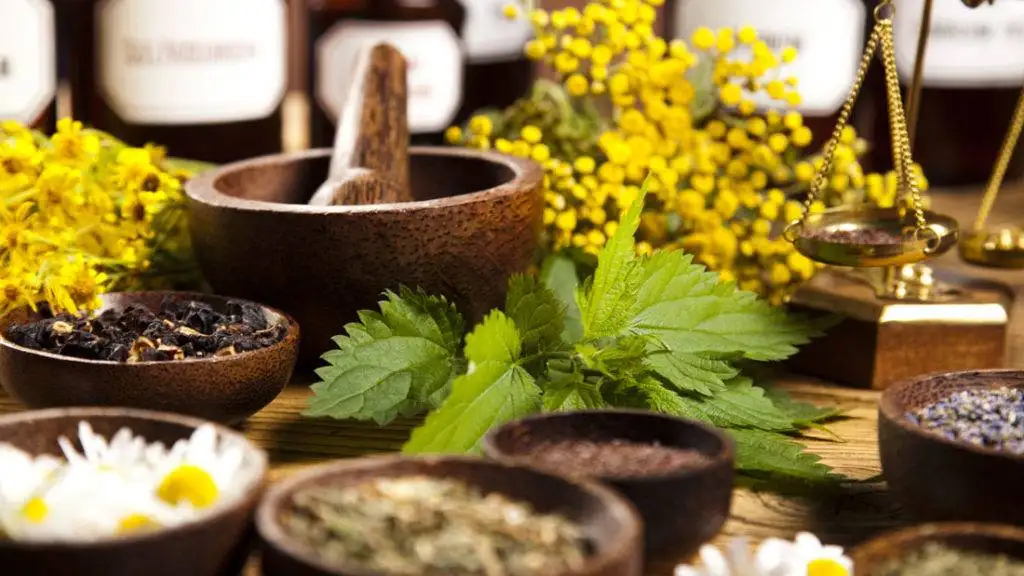 Người bệnh đái tháo đường có thể dùng thảo dược để hỗ trợ kiểm soát biến chứng mắt