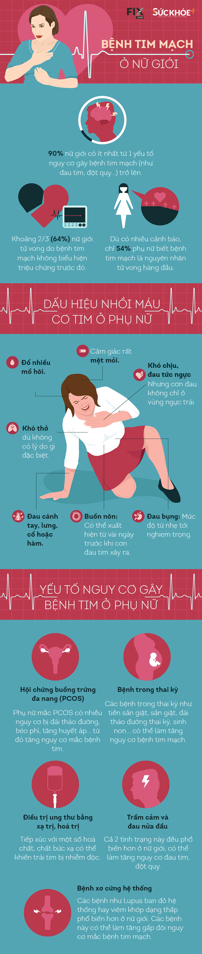 ITKP-dau-tim-phu-nu