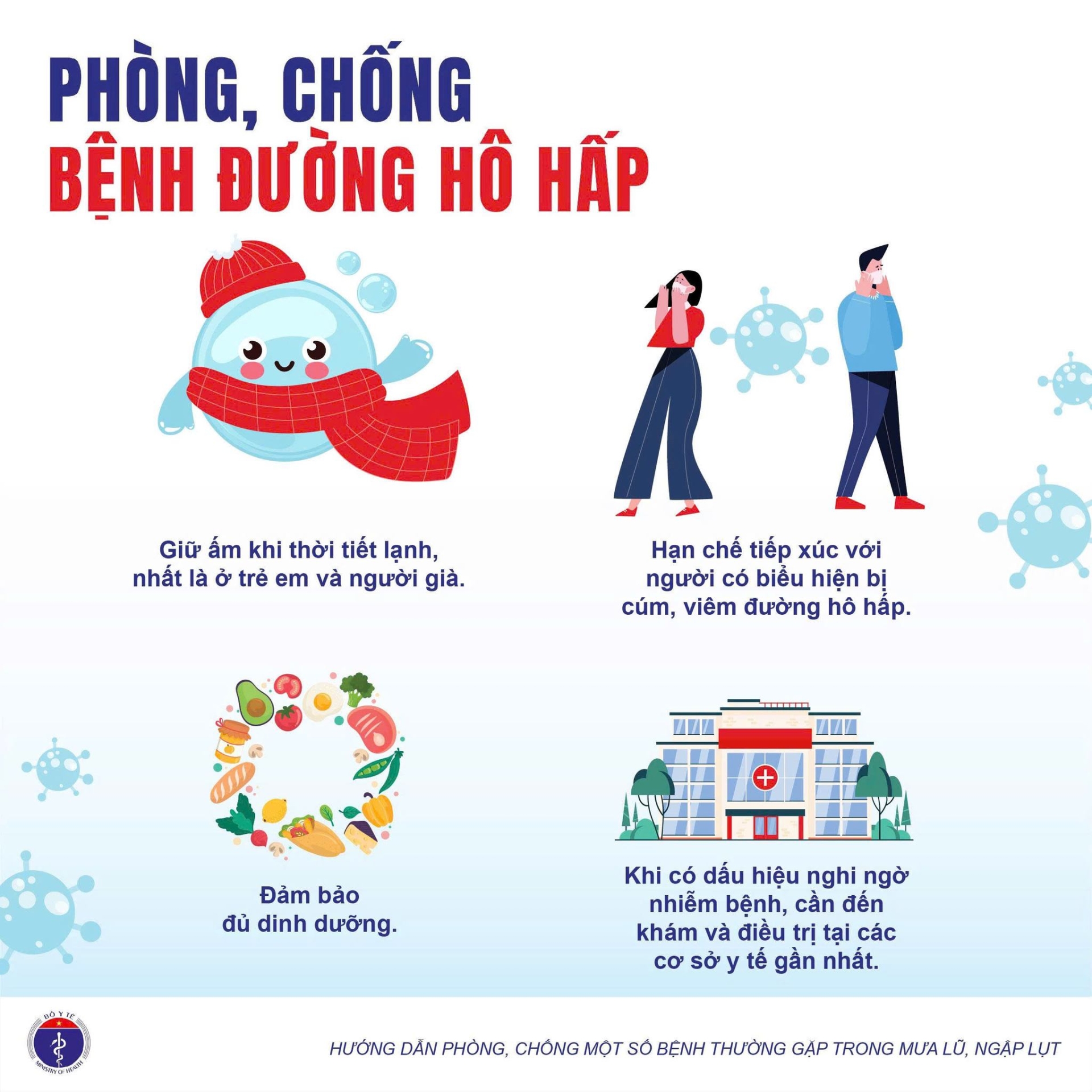 Bao lu 02
