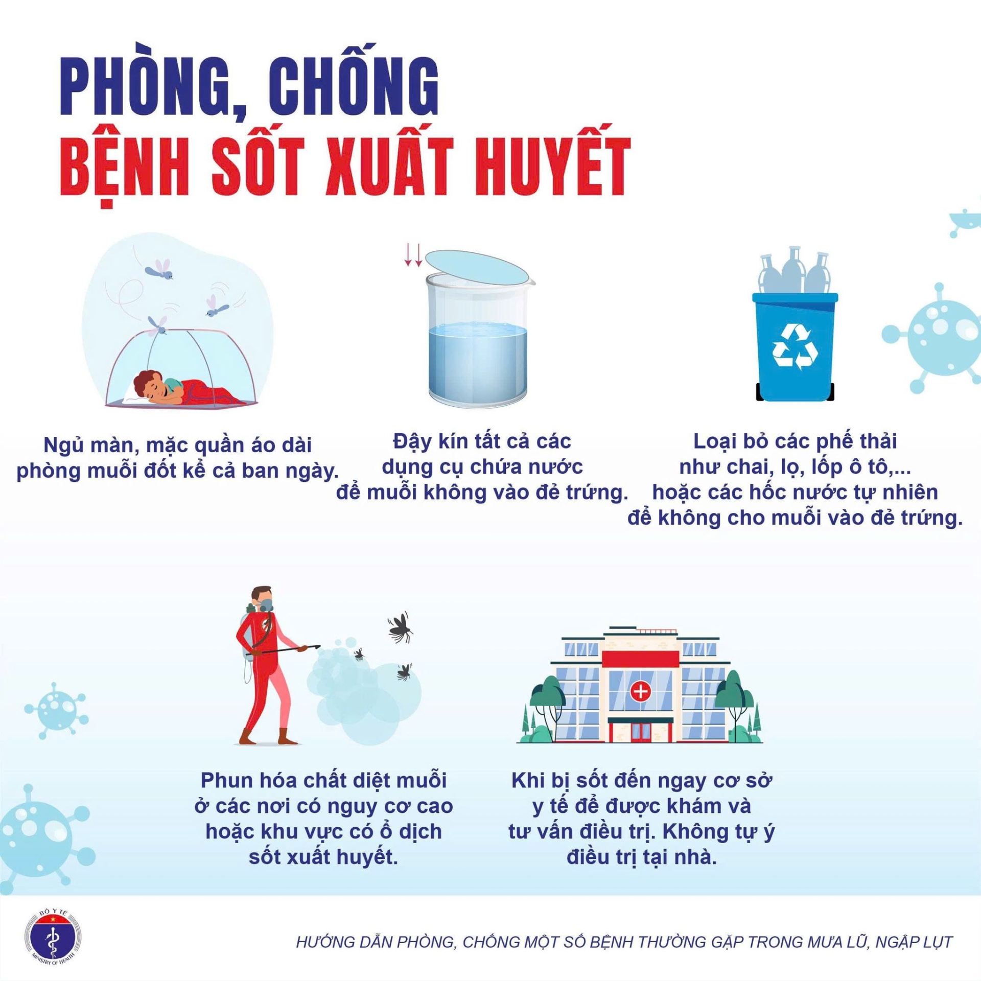 Bao lu 05