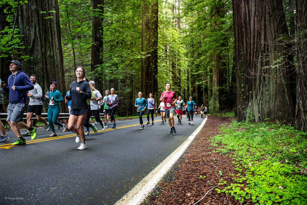Những cung đường chạy bán marathon xuyên vườn quốc gia “đẹp nín thở” - Ảnh 4