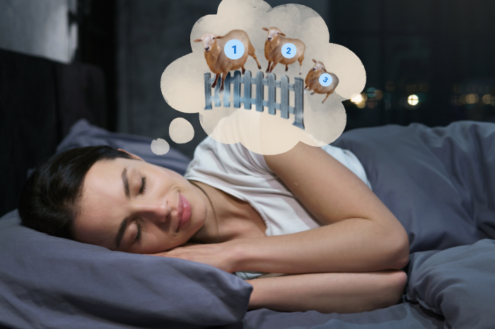 Nhiều người thường cho rằng đếm những chú cừu đang nhảy qua hàng rào giúp ta dễ ngủ hơn.