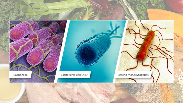 Thực phẩm nhiễm mầm bệnh nguy hiểm như Salmonella không hề có dấu hiệu bất thường về mùi vị