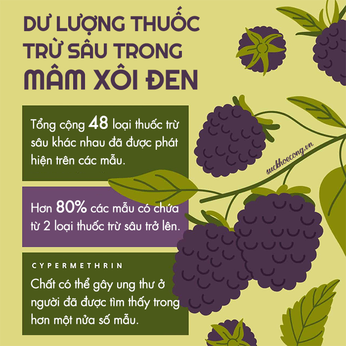 mam-xoi