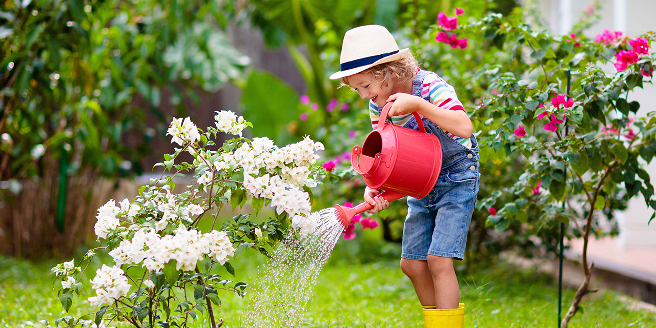 Rèn luyện tính kiên nhẫn từ hoạt động trồng cây
