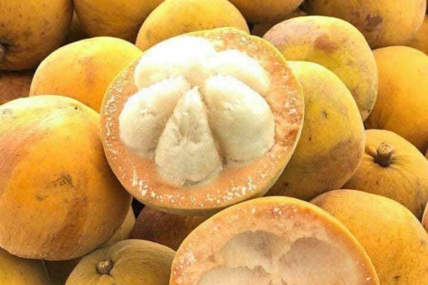 Quả bứa khi chín