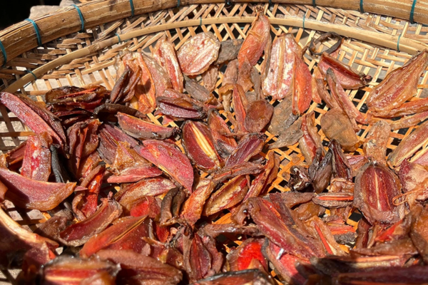 Bứa khô là nguyên liệu trong nhiều bài thuốc cổ truyền