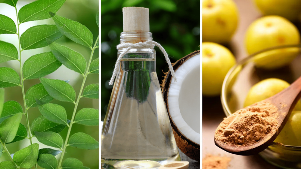 Sự kết hợp của lá cà ri, dầu dừa và quả amla tạo nên công thức chống oxy hóa mạnh mẽ, hạn chế tóc bạc sớm