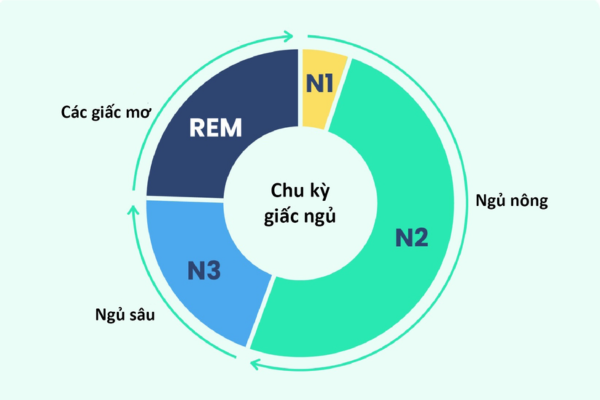 Biểu đồ các giai đoạn giấc ngủ - Ảnh: Bác sĩ Giấc ngủ