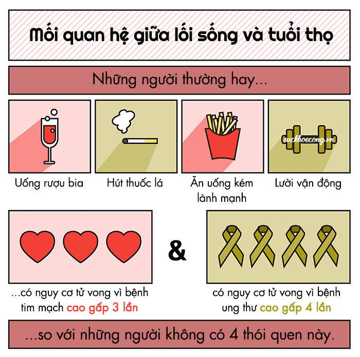 loi-song