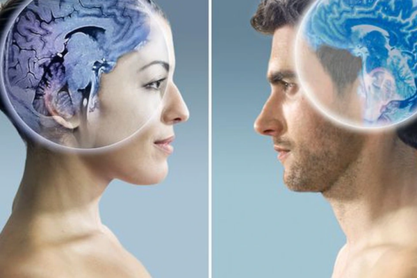 Não bộ của hai giới hoạt động hoàn toàn khác nhau