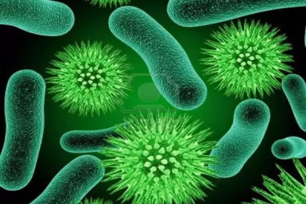 Thực phẩm bổ sung probiotics có thể giúp cải thiện hệ miễn dịch, sức khoẻ tinh thần, sức khoẻ phụ khoa, có lợi cho tim mạch,...
