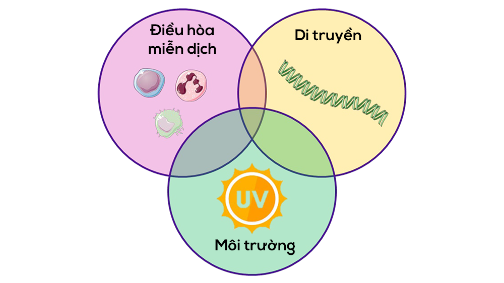 Có nhiều yếu tố ảnh hưởng đến bệnh lý lupus ban đỏ