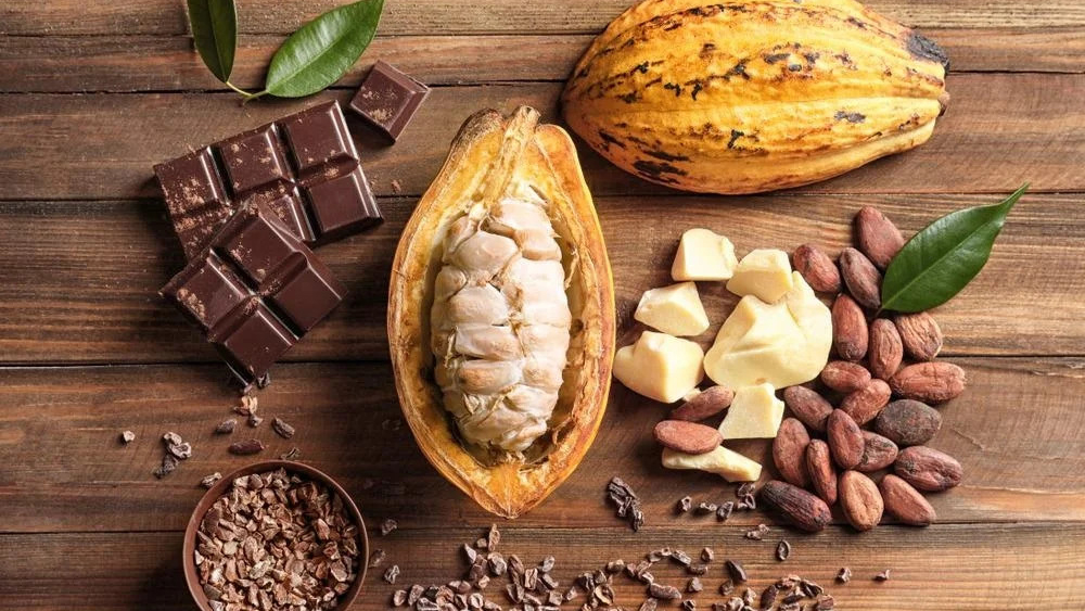 Chiết xuất cocoa có thể giảm 27% nguy cơ tử vong do bệnh tim mạch ở người trên 60 tuổi
