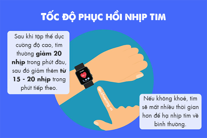 NTV-Toc do phuc hoi nhip tim