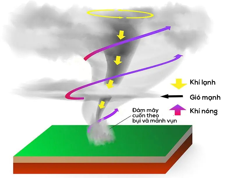 Lốc xoáy gồm một cột không khí quay nhanh kéo dài từ đám mây dông xuống mặt đất, tạo thành hình dạng giống một cái phễu