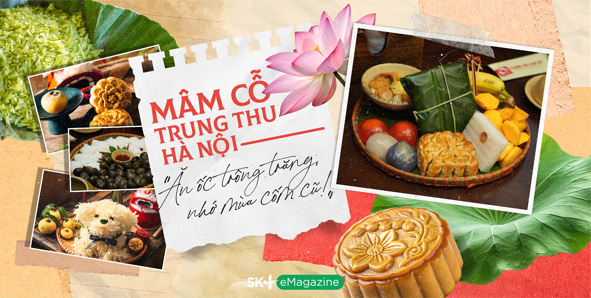SK+ Mam co trung thu HN-02