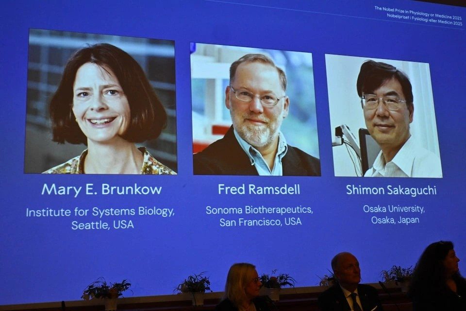 Ba nhà khoa học được xướng tên giành giải Nobel Y sinh 2025 tại lễ công bố chiều 6/10 (giờ Hà Nội) tại Stockholm, Thụy Điển - Ảnh: Claudio Bresciani/AP