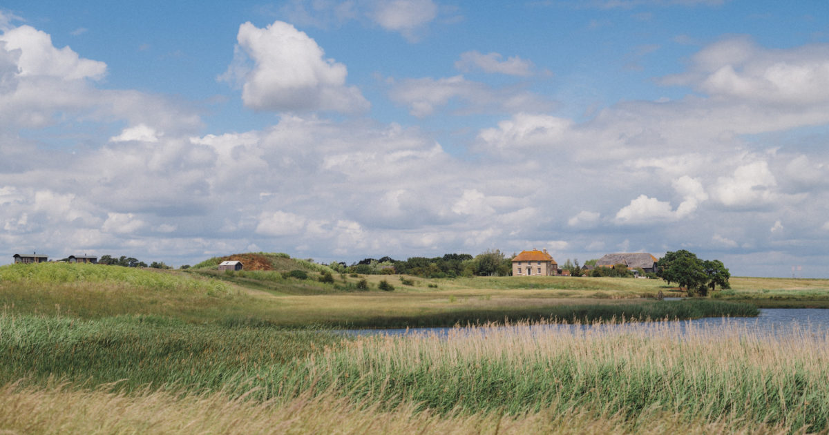 Khu bảo tồn tự nhiên Elmley - Ảnh: elmleynaturereserve.co.uk