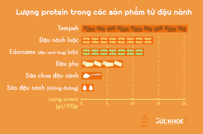 protein