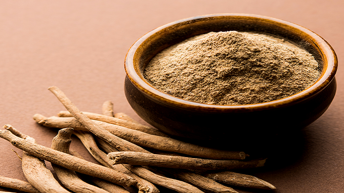 Ashwagandha là thảo mộc giúp giảm stress oxy hóa và hỗ trợ chức năng tuyến giáp tự nhiên
