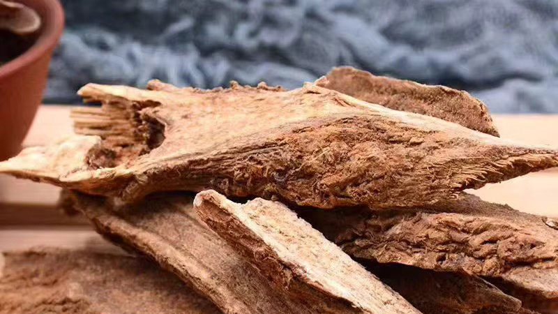 Rễ mộc hương khô cứng, thơm nồng và thường được dùng làm thuốc