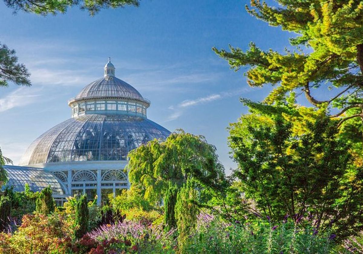 Vườn bách thảo New York ngập tràn sắc xanh của cây cối - Ảnh: City Experiences