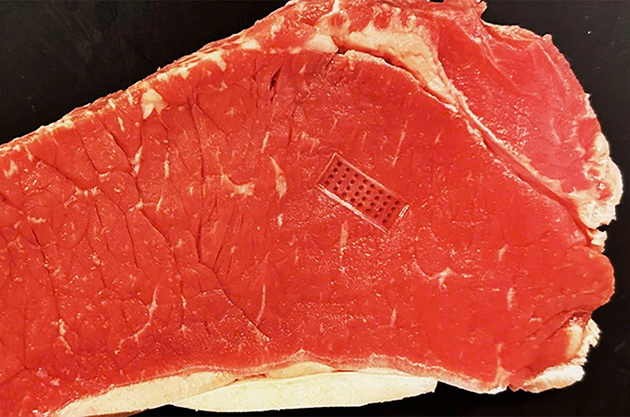 Nghiên cứu thử nghiệm dán miếng dán vi kim chứa đầy thực khuẩn thể lên miếng thịt sống, giúp giảm 99% số lượng vi khuẩn E.coli - Ảnh: Science